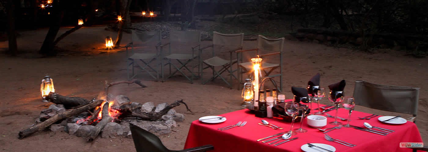 Experience the night time wonders at Mkhaya Game Reserve