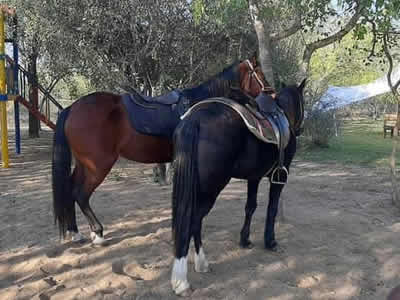 Horse Riding in Swaziland